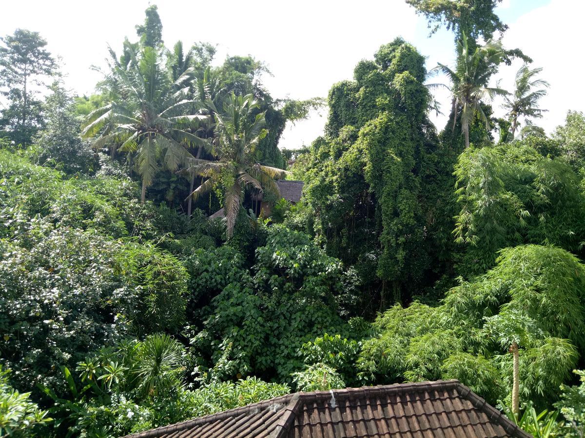 Karma House Apartman Ubud Kültér fotó