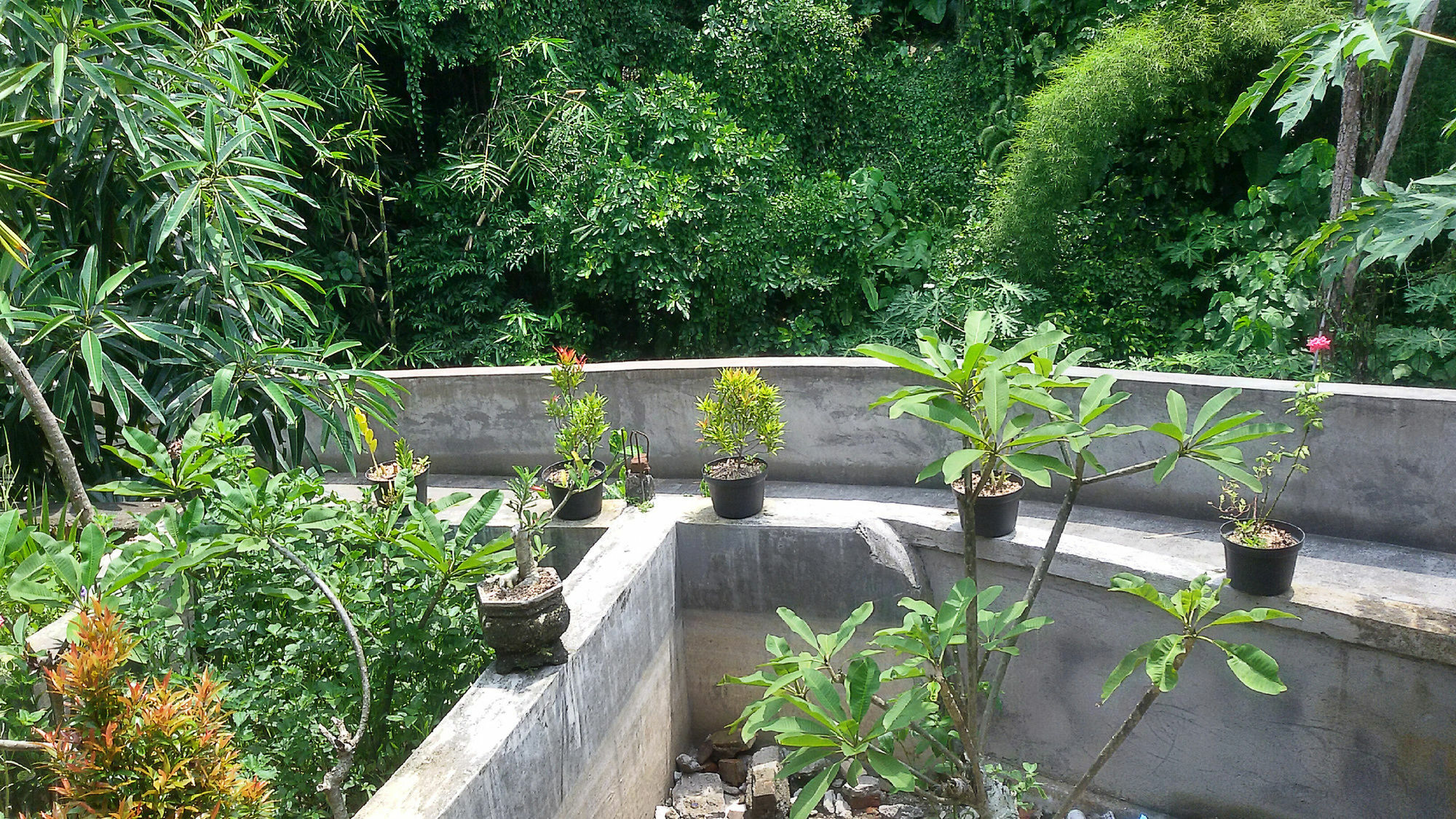 Karma House Apartman Ubud Kültér fotó