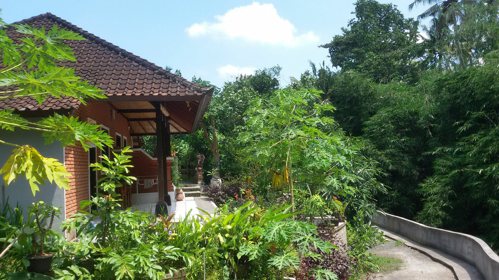 Karma House Apartman Ubud Kültér fotó