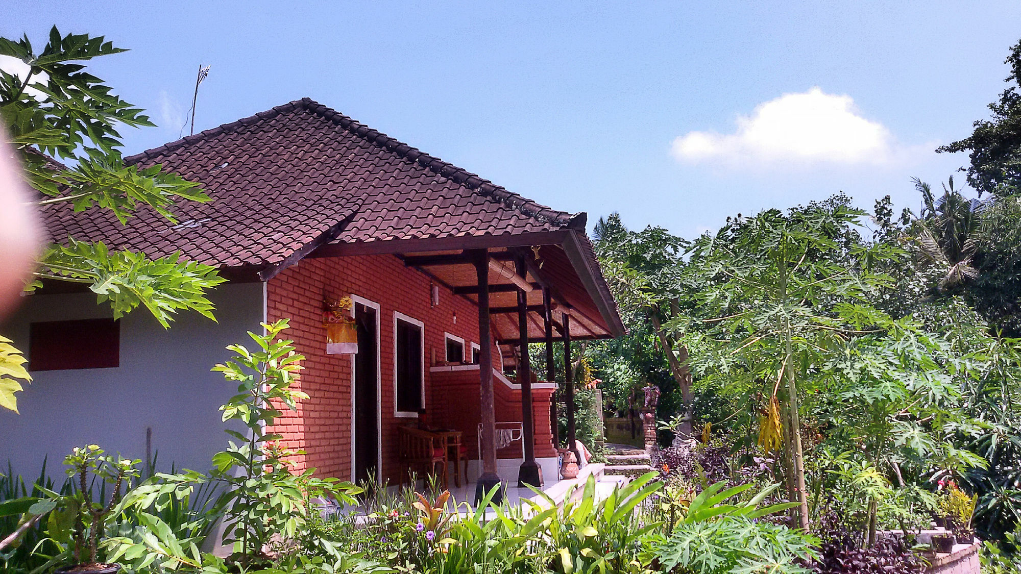 Karma House Apartman Ubud Kültér fotó